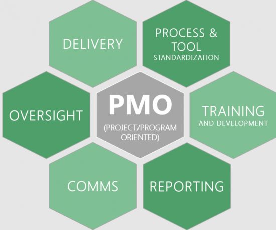 Project Management Office (PMO)